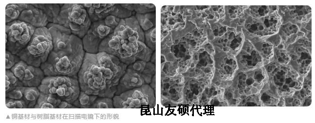 东城蔡司东城扫描电镜